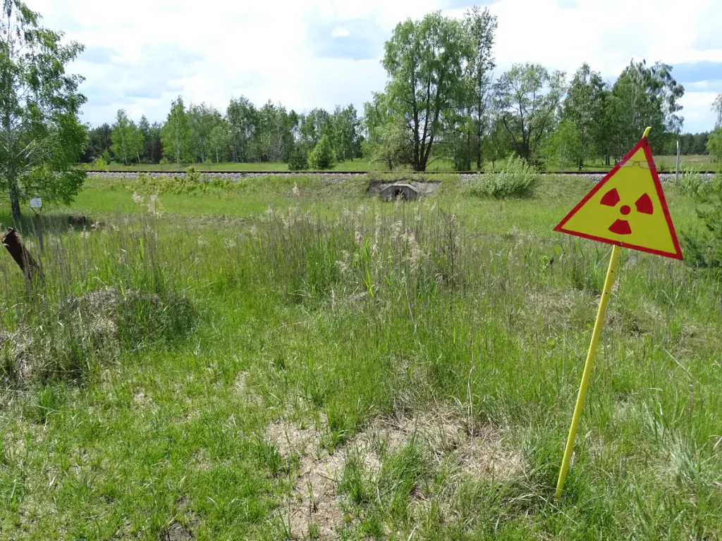 A radiation warning sign staked in an ordinary green meadow in the Chernobyl Exclusion Zone