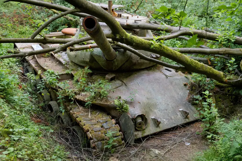 A rusting tank hulk overgrown by young trees in a forest clearing