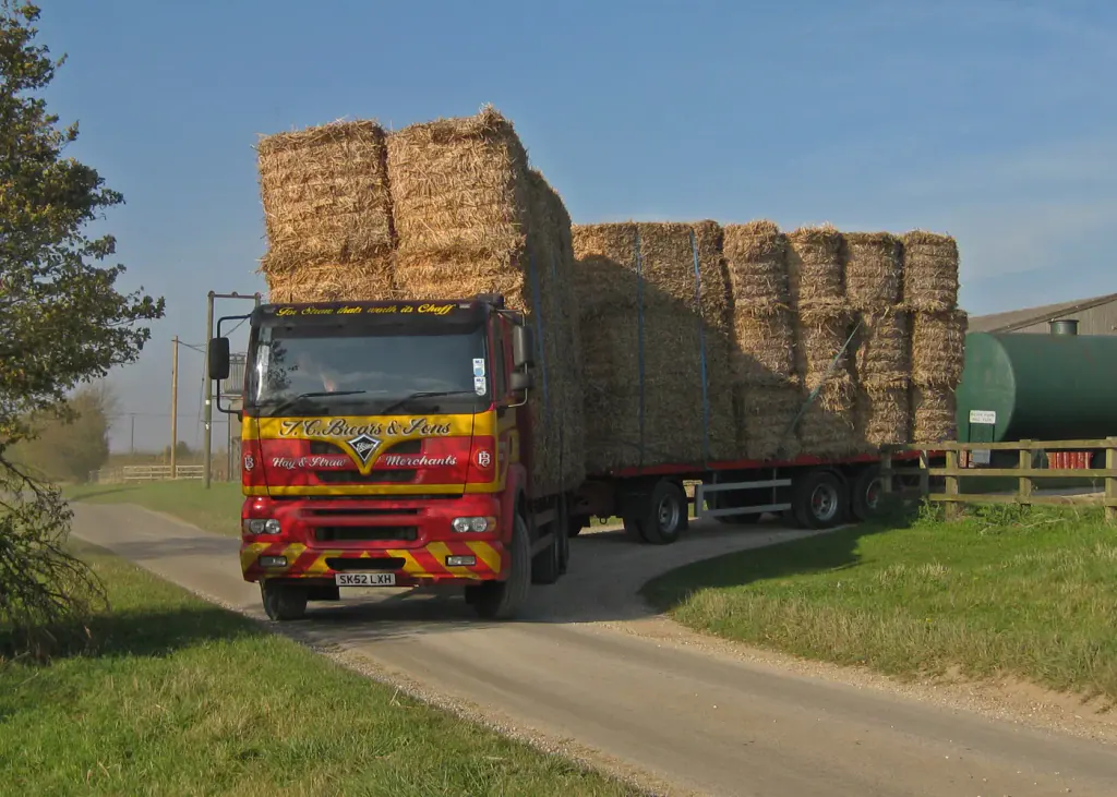 A lorry loaded high with square bales of miscanthus driving out of a farm along a lane