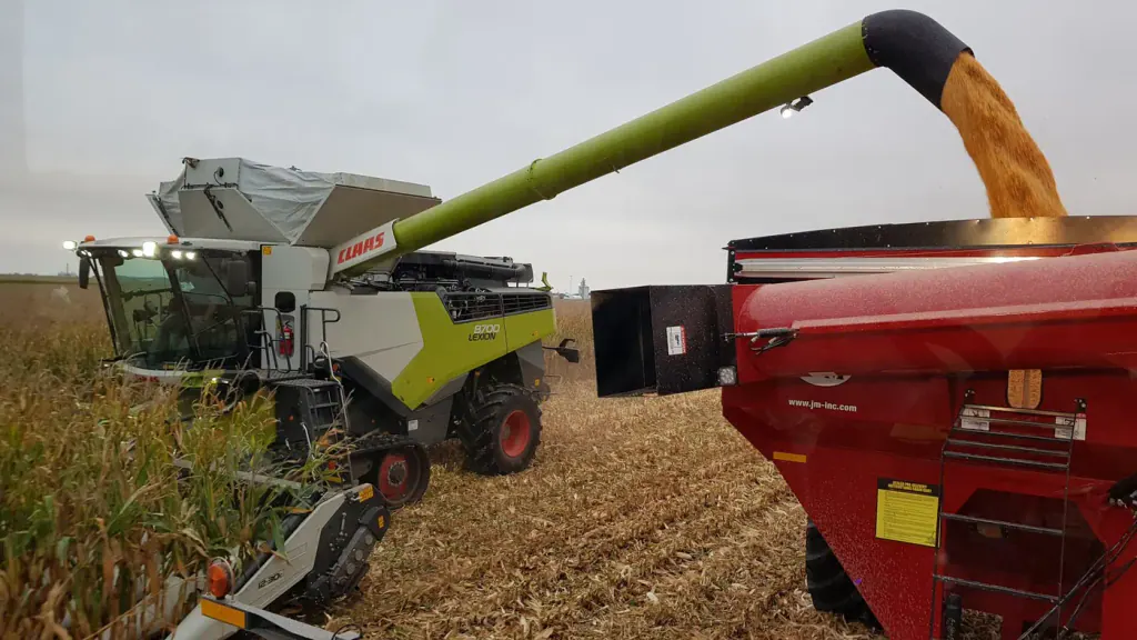 A combine harvester unloading maize grain into a trailer driven alongside it in the field