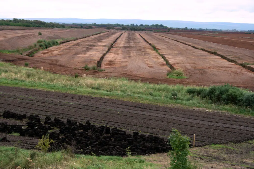 Milled peat fields divided by drainage ditches, with stacks of cut peat sods in the foreground