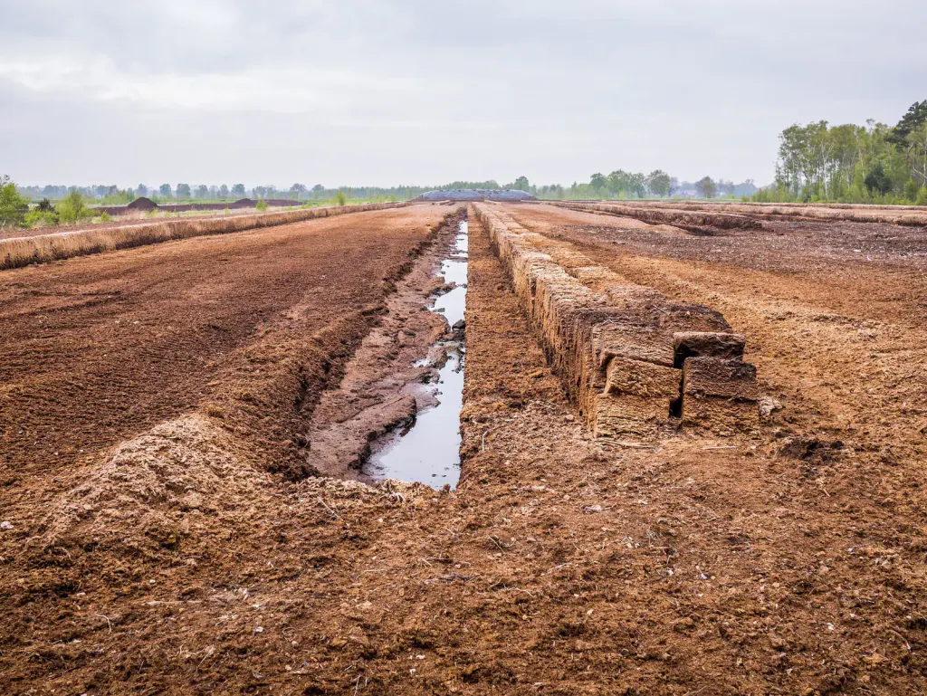 Blocks of cut peat stacked beside a water-filled drainage trench on a bare peat field