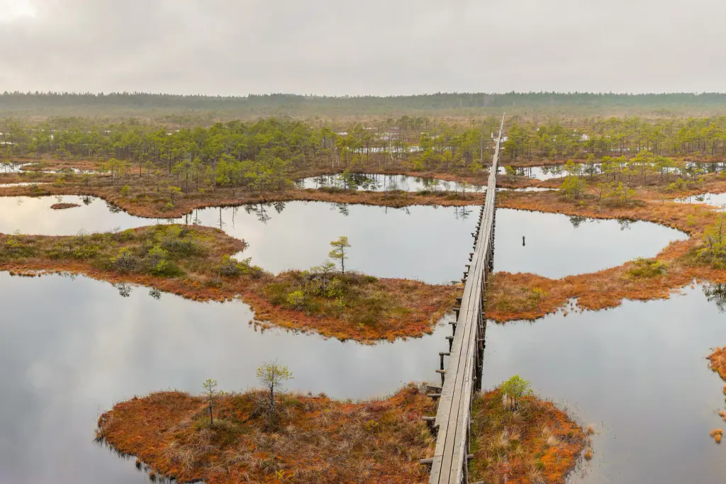 An undrained raised bog with dark pools, mossy hummocks and a boardwalk running to the horizon