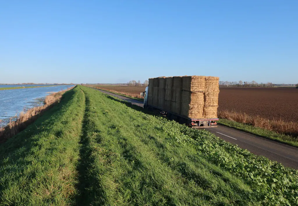 A lorry loaded with big square straw bales on a road beside a river embankment
