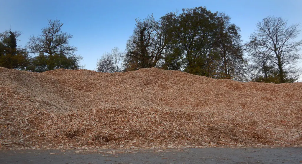 A large heap of chopped miscanthus beside a paved yard, with trees behind under a blue sky