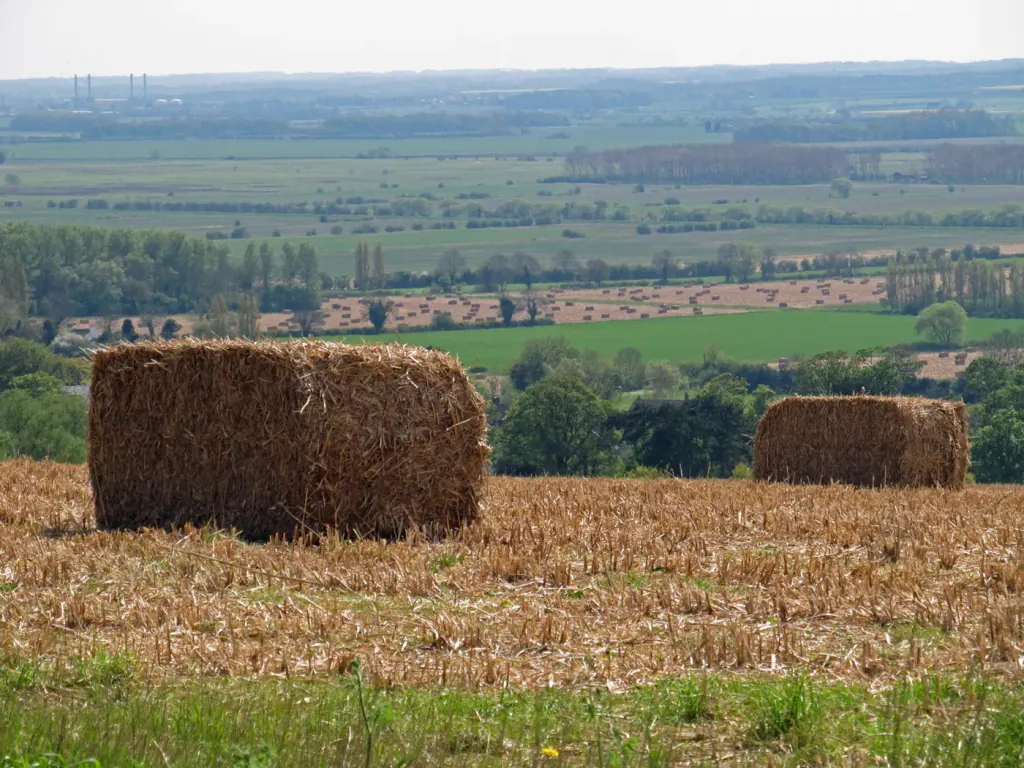 Quaderballen aus Miscanthus auf einem abgeernteten Feld oberhalb eines weiten, flachen Tals