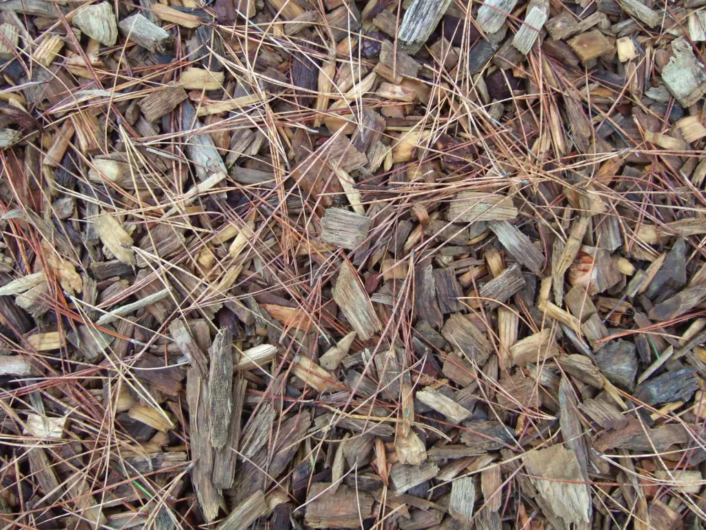 Ein Beet, bedeckt mit grobem Holzhackschnitzelmulch