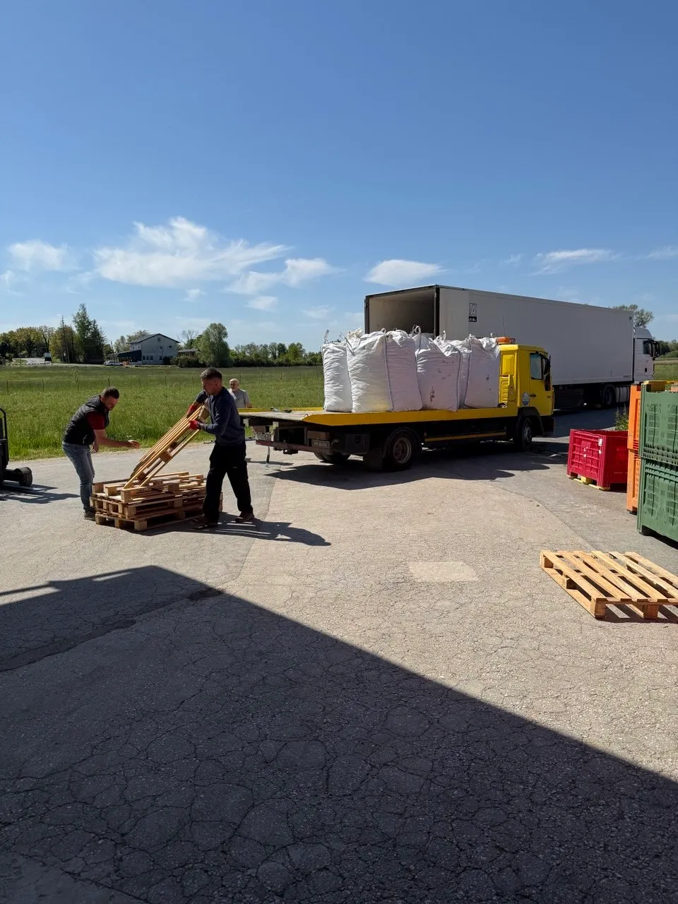 Big bags de rhizomes chargés sur un camion pour l’expédition